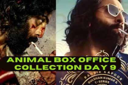 Animal box office collection