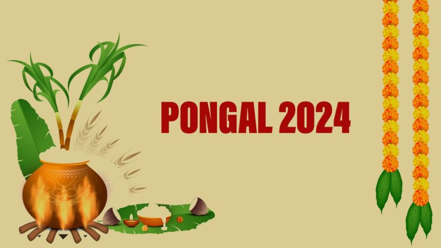 Pongal 2024