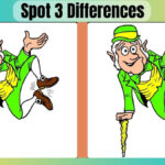 Spot 3 Differences