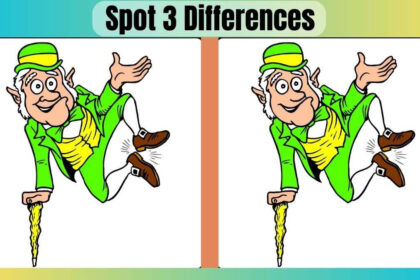 Spot 3 Differences