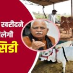 Haryana Cow Subsidy Yojana