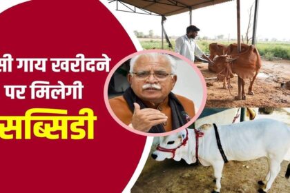 Haryana Cow Subsidy Yojana