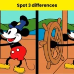 Spot 3 differences