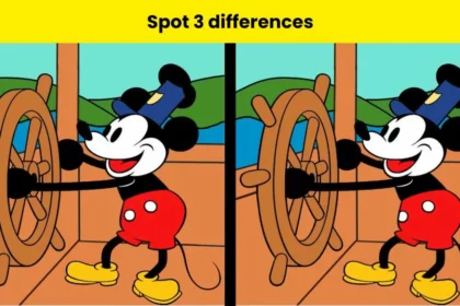 Spot 3 differences