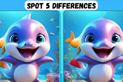 Spot 5 Differences