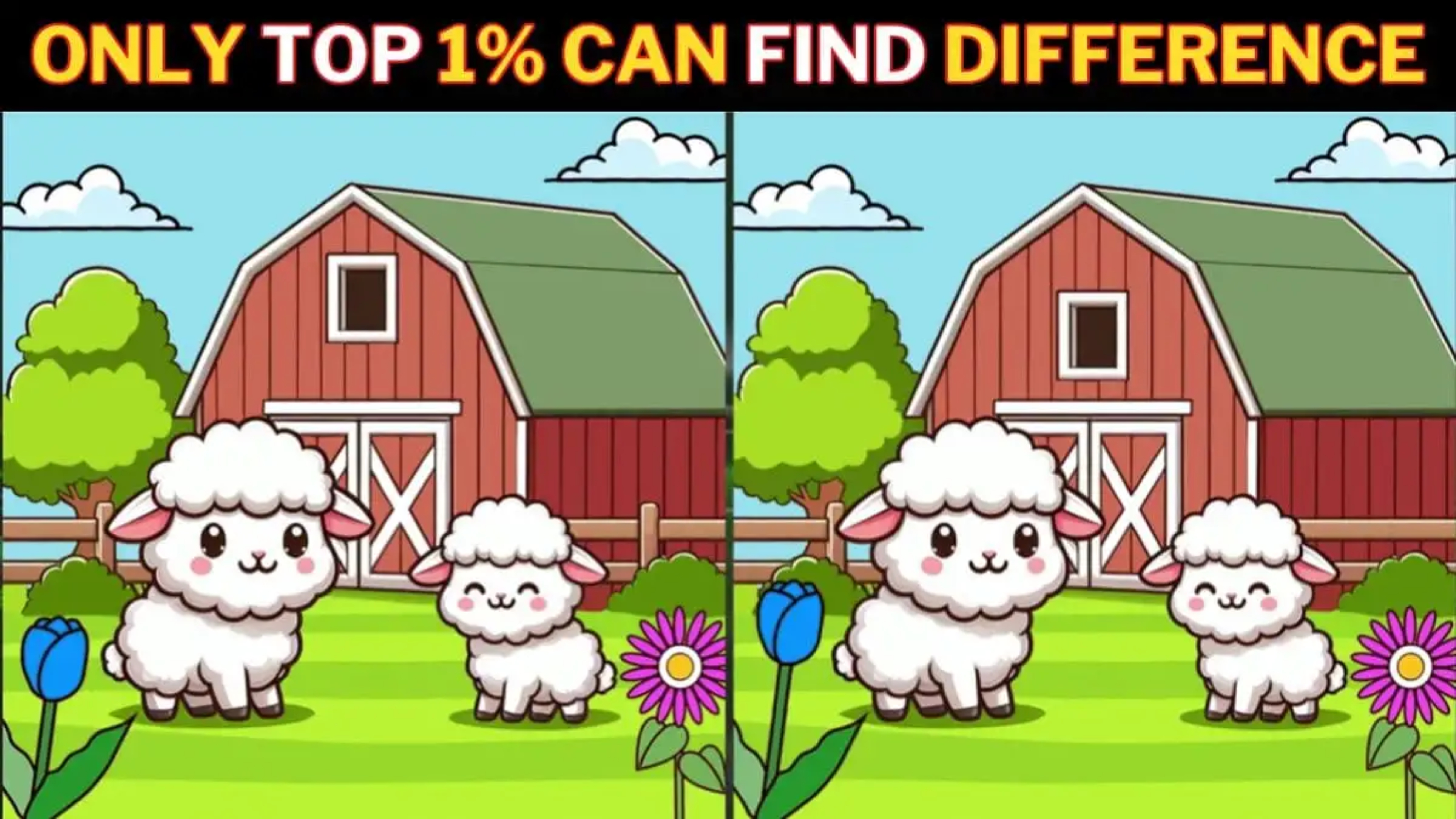 Brain Teaser Spot the Difference Game